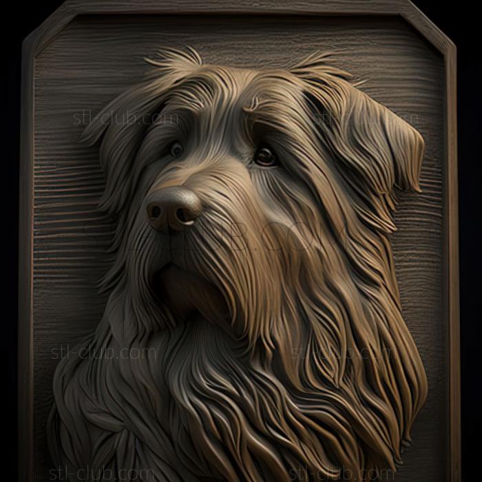 st Pyrenean Shepherd dog